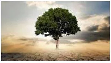 Thrive - Prosperous and growing.