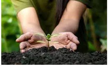 Conservation meaning
