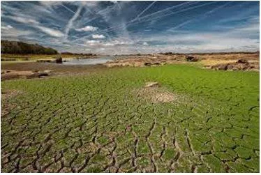 Degradation - The process of something becoming worse or weaker, or being made worse or weaker.