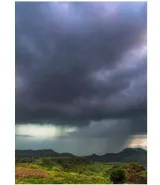 Carnian pluvial episode  bounty in rain