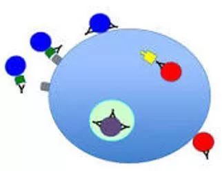 Neutralizing - Make (something) ineffective by applying an opposite force or effect.
