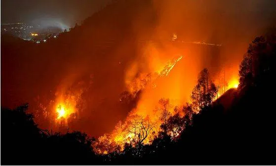 Forest fire rages in himachal  rain expected to bring relief