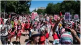 At least 30 000 pro palestinian protesters descend upon white house  blasting joe biden  watch
