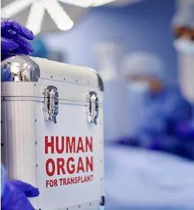 States told to act on social media groups  sites trading organs
