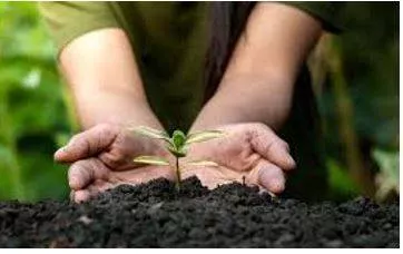 Conserve meaning