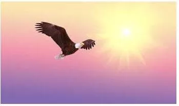 Soaring meaning