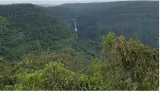 Expeditiously settling forest rights of sts in mhadei sanctuary  goa tells hc