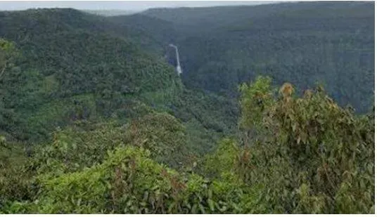 Expeditiously settling forest rights of sts in mhadei sanctuary  goa tells hc