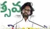 Pawan kalyan announced deputy cm of andhra pradesh  meet chandrababu naidu's cabinet