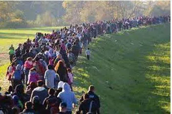 Migration meaning