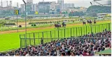 Hc permits bangalore turf club to conduct horse races