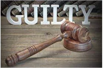 Verdict meaning