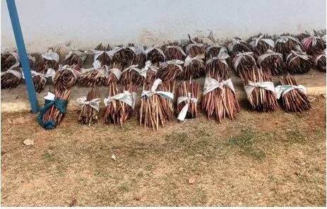 Fear of ieds returns to telangana’s border villages