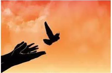 Liberation meaning