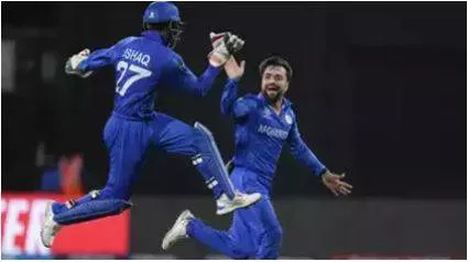 Afghanistan's flair takes on south africa's experience for a place in t20 world cup final