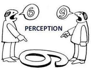 Perception meaning
