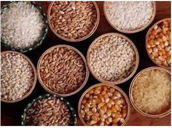 Provision - The action of providing or supplying something for use.