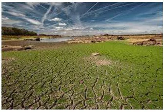 Degradation - The process of something becoming worse or weaker, or being made worse or weaker.