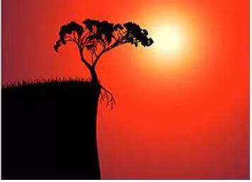 Brink - The extreme edge of land before a steep slope or a body or water.