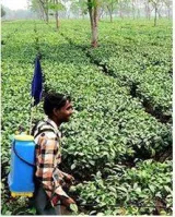 In assam  banks suffer from ‘militancy hangover’  experts