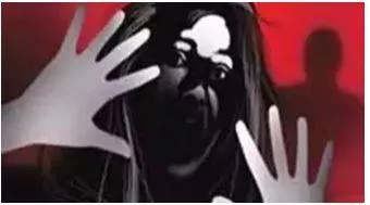 Pakistani diplomat's cook booked for 'molesting' indian domestic help