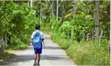 Education ministry to refine ncert’s guidelines on bagless days in schools