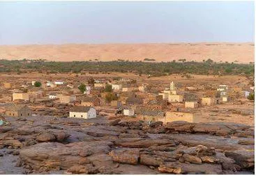 A green oasis cultivating equality in the heart of mauritania’s vast desert