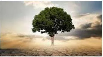 Thriving meaning