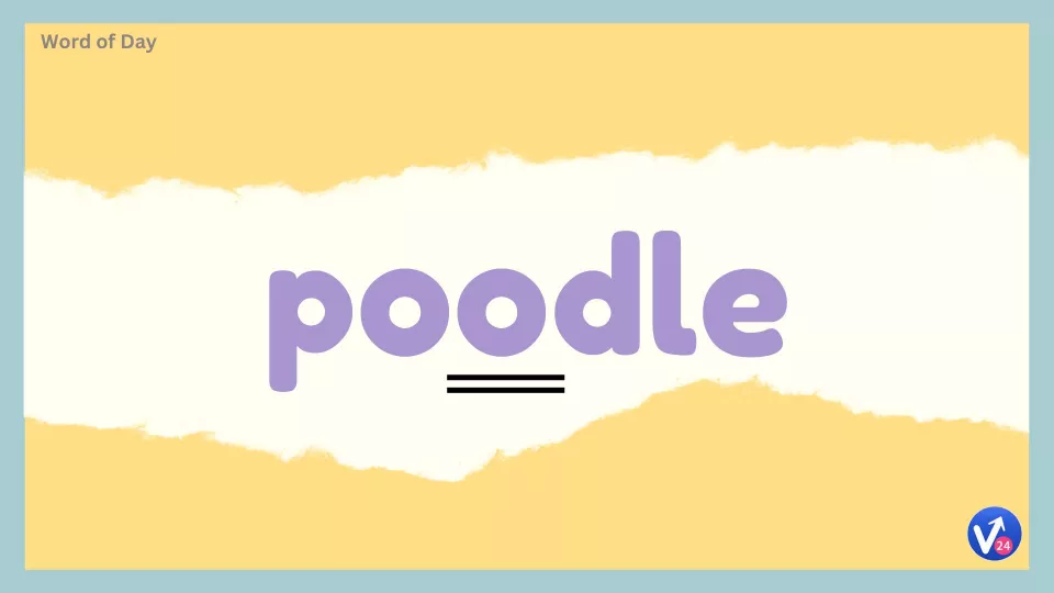 Poodle