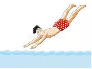 Plunges meaning