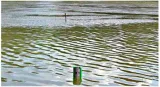 T n  govt  to hold all party meet on cauvery dispute