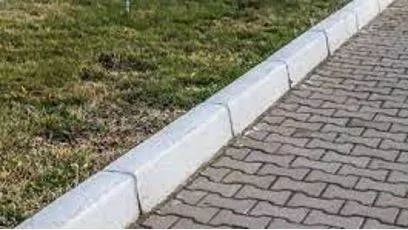 Curbing meaning