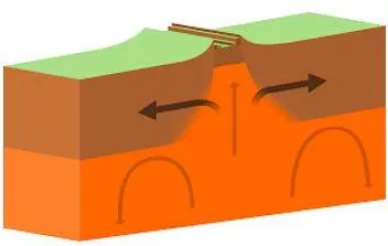 Diverging - Tending to be different or develop in different directions.