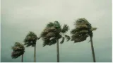 Tropical disturbances over atlantic ocean worry hurricane experts  here's when next storm may hit