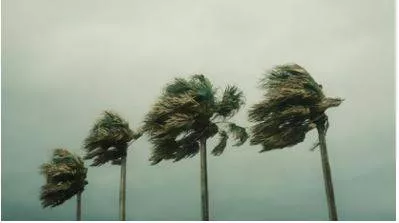 Tropical disturbances over atlantic ocean worry hurricane experts  here's when next storm may hit