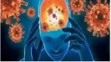 Government says 53 cases of chandipura virus reported in country