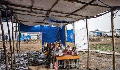 Suffering mounts for tigray’s displaced as they ‘wait for death’ in camps