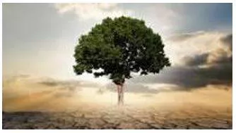 Thriving - Prosperous and growing.  (बढ़ता) 