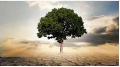 Thrive - Prosperous and growing.  (बढ़ता) 