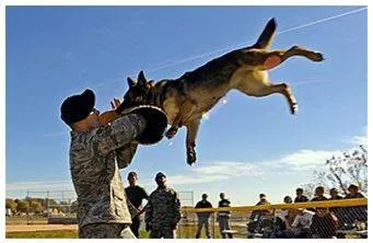 Incursion - An invasion or attack, especially a sudden or brief one. (आक्रमण)