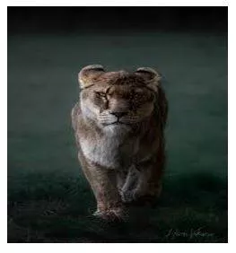 Fierce - Having or displaying an intense or ferocious aggressiveness.