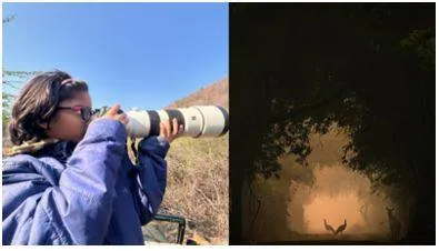'in the spotlight'  9 year old indian shreyovi mehta named runner up in london wildlife photography contest