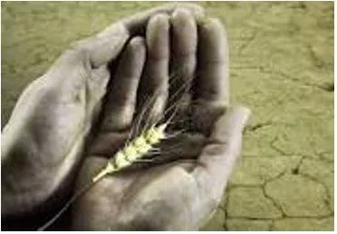 Starving - Suffering or death caused by lack of food. (भुखमरी)