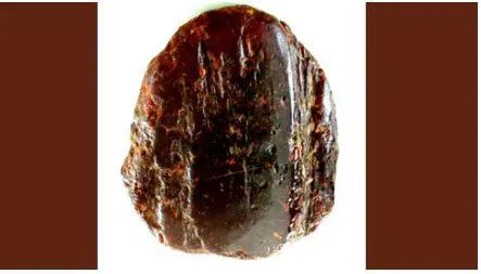 Elderly woman’s doorstop turns out to be amber nugget worth over $1 million 