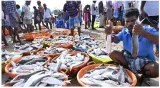 India’s stance on wto fish talks gets support from many developing nations