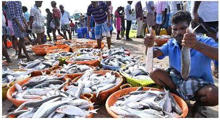 India’s stance on wto fish talks gets support from many developing nations