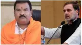 'rs 11 lakh for chopping rahul's tongue'  sena mla offers bounty over lop's 'quota' remark