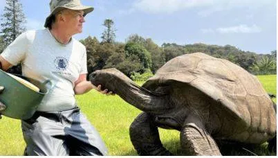 Meet jonathan  world's oldest living land animal  who is 191 years old