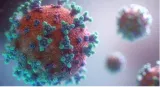 What do we know about new covid variant xec ‘spreading fast’ across europe  us 