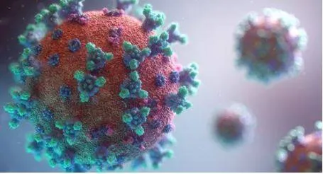 What do we know about new covid variant xec ‘spreading fast’ across europe  us 